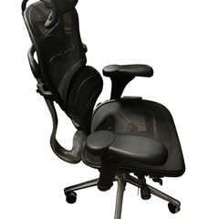 Ergohuman エルゴヒューマン ベーシック オフィスチェア ヘッドレスト付き の画像