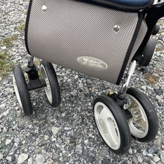 スタンダードシルバーカー の画像