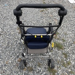 スタンダードシルバーカー の画像
