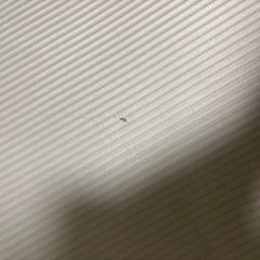 JOYme ヨガマット (グレー/厚さ 10mm / 収納袋付き/高密度ニトリルゴム)の画像