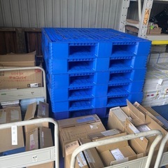 プラスチックパレット　五枚　中古の画像