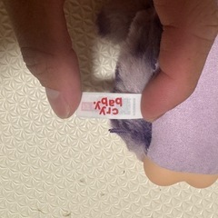 POP MART WILD CUTIE Cry Baby クライベイビーの画像