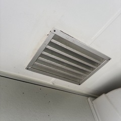 蜂に困ったら駆除させて頂きます！の画像