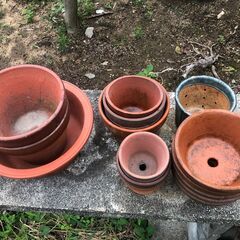 植木鉢49点の画像