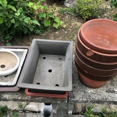 植木鉢49点の画像