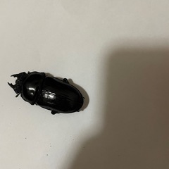 オオクワガタ　♂♀1ペア　(阿古谷)
の画像