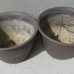 【 植木鉢 】 小 2個セット ポット プランターの画像