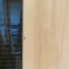 扉　3枚の画像