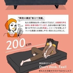 ネムルソファの画像