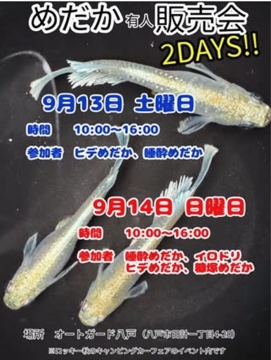 イベント　お知らせ