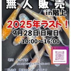 イベント　お知らせの画像