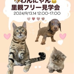 🐶わんにゃん里親フリー見学会🐱