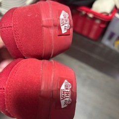 VANS スニーカーの画像