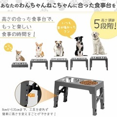 【ほぼ未使用】ペット　昇降式フードボウル　中型犬　大型犬　高さ調整可能　5段階調整の画像