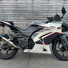Kawasaki Ninja 250R (EX250K-A1)愛知県一宮市の画像