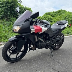 Kawasaki Ninja 250R (EX250K-A1)愛知県一宮市の画像