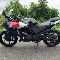 Kawasaki Ninja 250R (EX250K-A1)愛知県一宮市の画像
