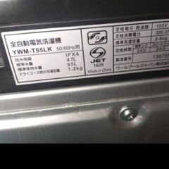 札幌市近郊の方限定！2024年製！分解清掃済！ヤマダ RORO 洗濯機 YWM-T55LK 5.5kgの画像