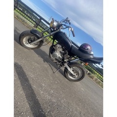 エイプ50ccの画像