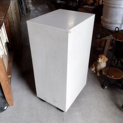 LION キャスター付き 事務用チェスト スチール製 パンフレットケース JOIFA620 ライオン事務機 レトロ 引き出し収納　/TJ-2545 2Fの画像