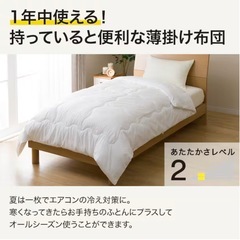 ニトリ 丸洗いできる掛け布団　の画像