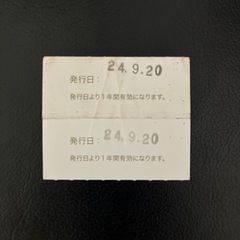 龍神の湯回数券2枚の画像