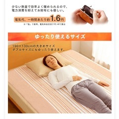洗える電気毛布　電気敷きパッド 190×130cmの画像