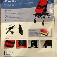 ミニョン　バギー　Mサイズの画像