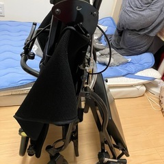 ミニョン　バギー　Mサイズの画像