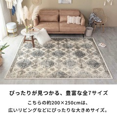 【お取引者決定】ペルシャ風ラグ　200✖️250　の画像