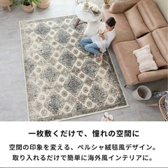 【お取引者決定】ペルシャ風ラグ　200✖️250　の画像