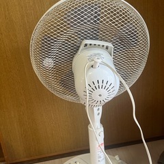 扇風機　無料⭐︎の画像