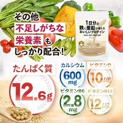 1日分の鉄と亜鉛が補えるおいしいプロテイン ほうじ茶味の画像