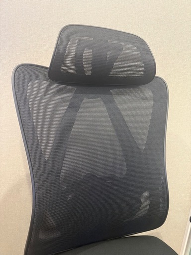 Flexispot C5 / デスクチェア / オフィスチェア