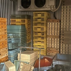 【無料・大量】プラスチックコンテナの画像