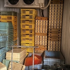 【無料・大量】プラスチックコンテナの画像