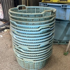 【無料・大量】プラスチックコンテナの画像