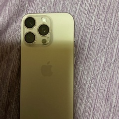 iPhone16Pro 256GBの画像