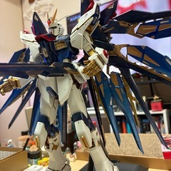 pg ストライクフリーダム　完成品 ガンプラ 組立済み プラモデル 機動戦士ガンダムSEEDの画像