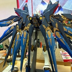 pg ストライクフリーダム　完成品 ガンプラ 組立済み プラモデル 機動戦士ガンダムSEEDの画像