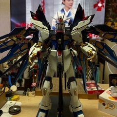 pg ストライクフリーダム　完成品 ガンプラ 組立済み プラモデル 機動戦士ガンダムSEEDの画像