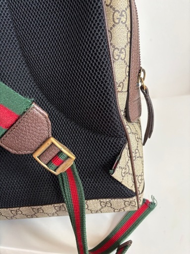 希少✨GUCCI 昆虫柄 リュック・バックパック