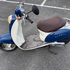 HONDA スクーピー　af54の画像