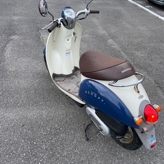 HONDA スクーピー　af54の画像