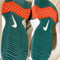 NIKE ナイキ LeBron Shoes の画像