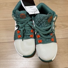 NIKE ナイキ LeBron Shoes の画像