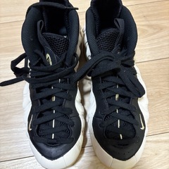 NIKE ナイキ ( Air Foamposite One ) Shoesの画像