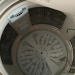 HITACHI 7.0kg ビートウォッシュ BW-V70Cの画像