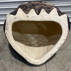 フクロウ 信楽焼 陶器 置物 梟の画像