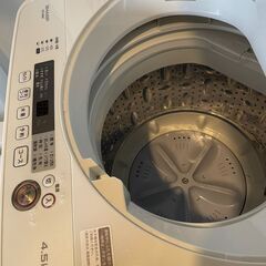 SHARP 2019年製 洗濯機4.5kg の画像